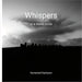 Whispers in a stone circle: Glimpses of eternity upon Ale stones by Somerled Karlsson