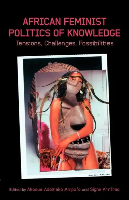 African Feminist Politics of Knowledge. Tensions, Challenges, Possibilities by Akosua Adomako Ampofo, Signa Arnfred