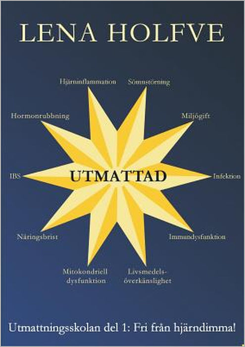 Utmattad: Fri från hjärndimma by Lena Holfve