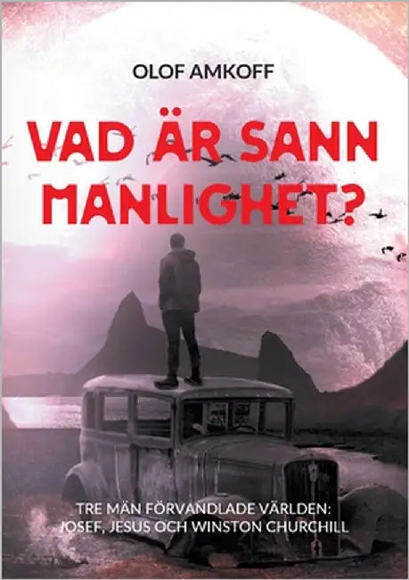 Vad är sann manlighet?: Mansseminarium om biblisk manlighet. by Amkoff, Olof