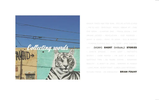 Collecting Words: Short Visual Stories by Brian Fouhy