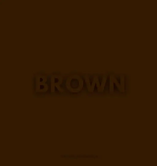 The Brown Book by Gisela Marängen