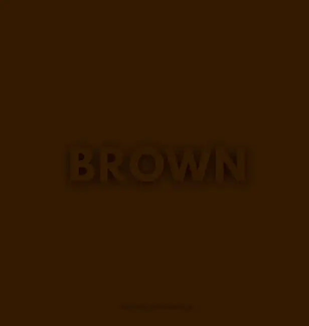 The Brown Book by Gisela Marängen