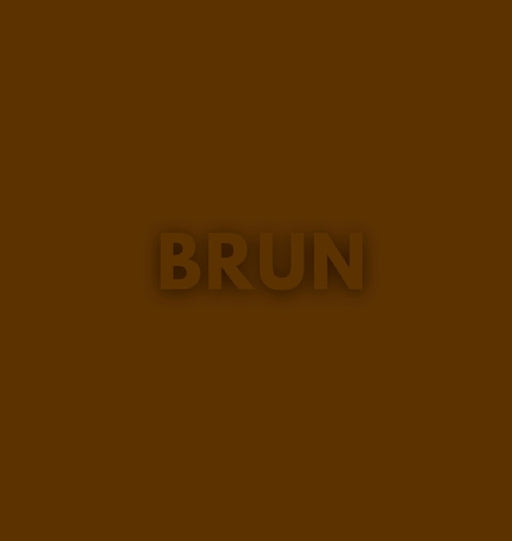 Den Bruna Boken by Gisela Marängen