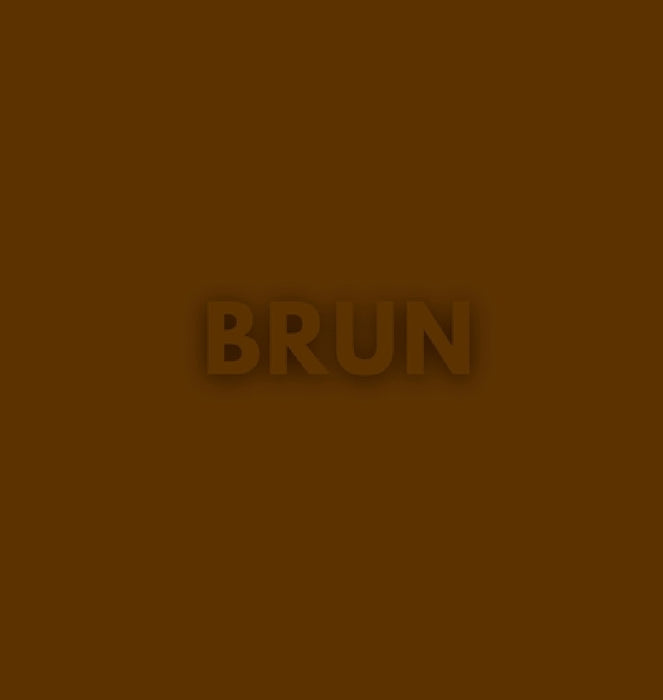 Den Bruna Boken by Gisela Marängen