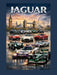 Jaguar by Lars K. Ericson