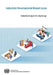 Industrial Development Report 2020: Industrializing in the Digital Age by United Nations