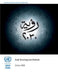 Arab Development Outlook: Vision 2030 by United Nations Publications