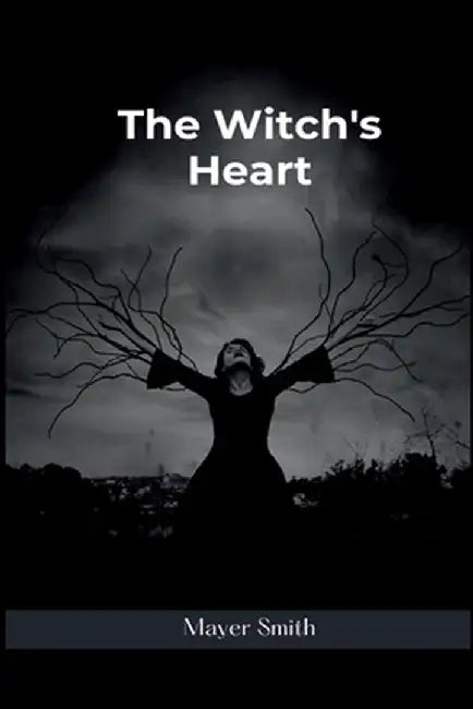 The witchs heart by Mayer Smith