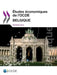 Etudes Economiques de L'Ocde: Belgique 2015 by Oecd