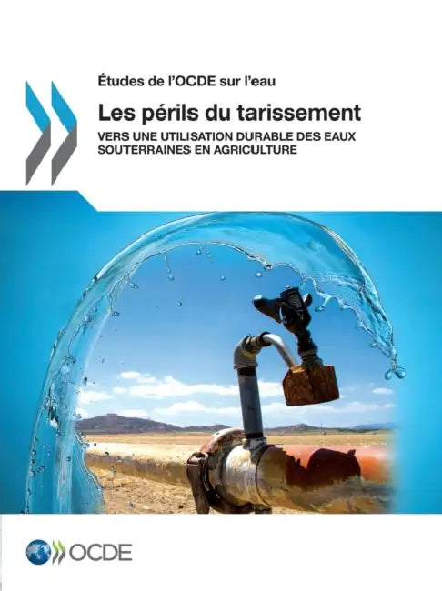 Etudes de L'Ocde Sur L'Eau Les Perils Du Tarissement: Vers Une Utilisation Durable Des Eaux Souterraines En Agriculture by OECD