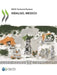 OECD Territorial Reviews: Hidalgo, Mexico by Oecd