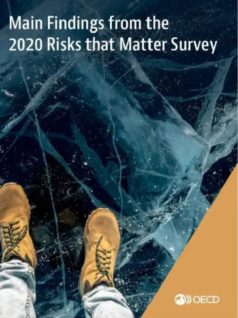 Main Findings from the 2020 Risks that Matter Survey by Oecd