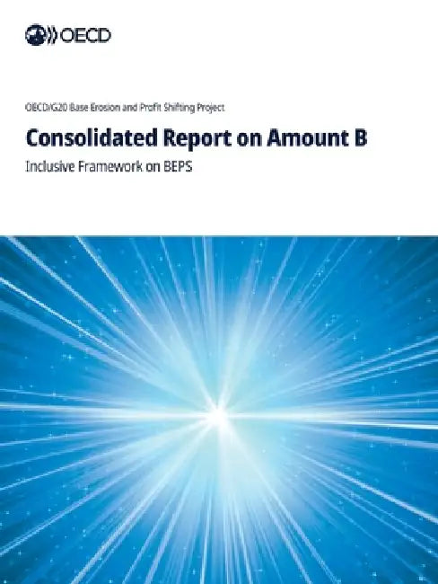 Consolidated Report on Amount B by Oecd