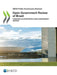 Open Government Review of Brazil by Oecd