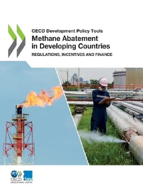 Methane Abatement in Developing Countries by Oecd