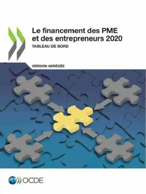 Le Financement Des Pme Et Des Entrepreneurs 2020 (Version Abrégée) Tableau de Bord by Oecd