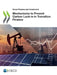 Mechanisms to Prevent Carbon Lock-in in Transition Finance by Oecd