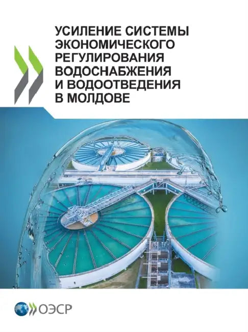 УСИЛЕНИЕ СИСТЕМЫ ЭКОНОМ& by Oecd