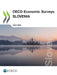 OECD Economic Surveys: Slovenia 2020 by Oecd