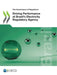 Driving Performance at Brazil's Electricity Regulatory Agency by Oecd