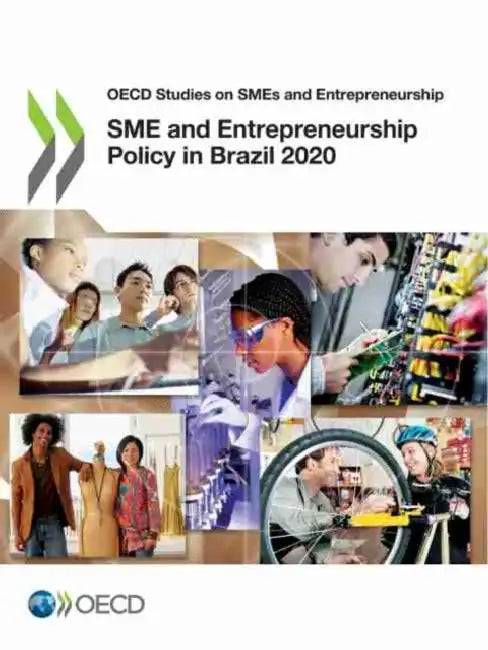 SME and Entrepreneurship Policy in Brazil 2020 by Oecd