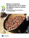 Manuel à l'intention des entreprises sur le devoir de diligence dans le secteur du cacao by Oecd