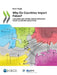 Why Do Countries Import Fakes? by Oecd