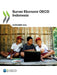 Survei Ekonomi OECD Indonesia 2024 by Oecd