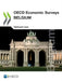 OECD Economic Surveys: Belgium 2020 by Oecd