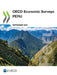 OECD Economic Surveys: Peru 2023 by Oecd