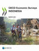 OECD Economic Surveys: Indonesia 2021 by Oecd