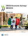 OECD Economic Surveys: Mexico 2024 by Oecd