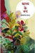Kavya Ke Roop by Gulab Rai
