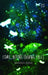 Come, Before Evening Falls by Bajaj, Manjul