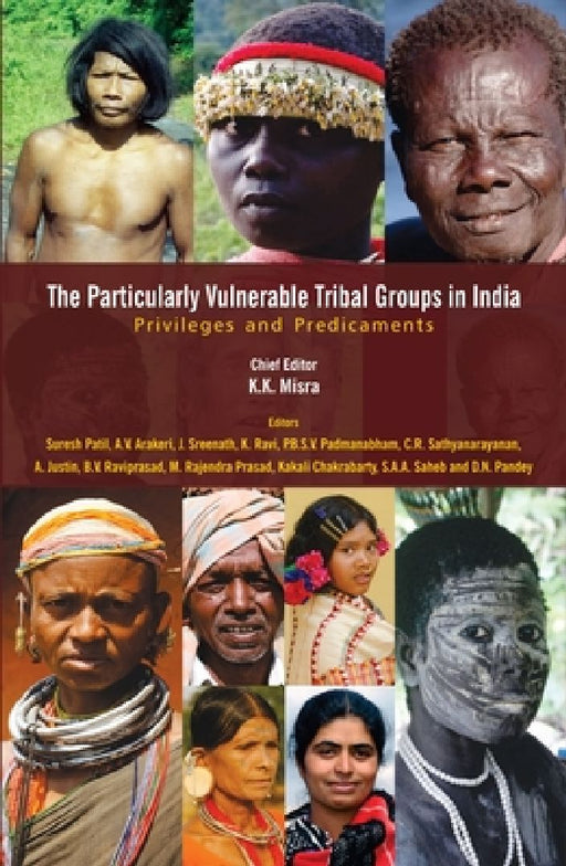 The Particularly Vulnerable Tribal Groups in India: Privileges and Predicaments by K. K. Misra