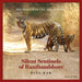 Silent Sentinels of Ranthambhore by Bina Kak