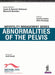 Infertility Management Series Abnormalities Of The Pelvis by Juan A Garcia-Velasco