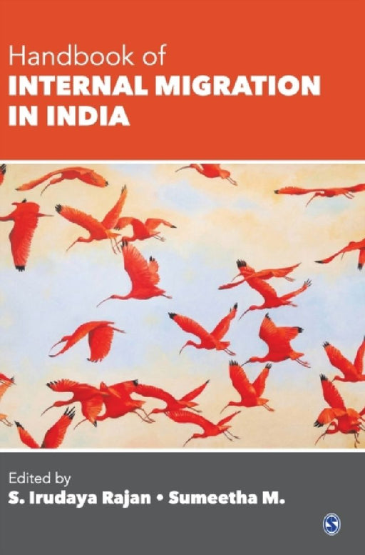 Handbook of Internal Migration in India  by S. Irudaya Rajan