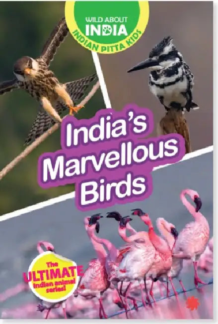 Wild About India: India's Marvelous Birds by Wild About India, Indian pitta kids