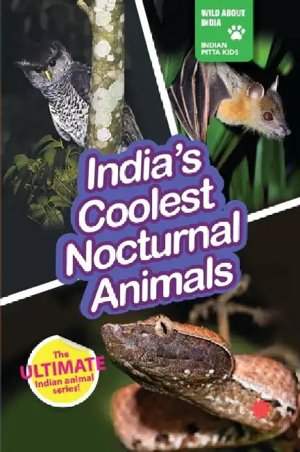 India's Coolest Nocturnal Animals