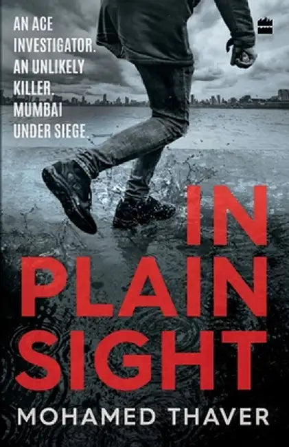 In Plain Sight by Mohamed Thaver
