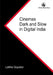 Cinemas Dark and Slow in Digital India by Lalitha Gopalan