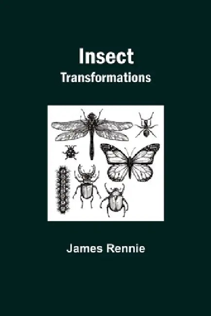 Insect Transformations by James Rennie