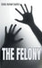 The Felony by Sunil Kumar