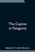 The Captive in Patagonia by Benjamin Franklin Bourne