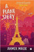 A Plane Story by Anmol Malik