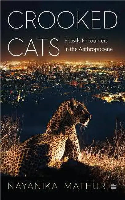 Crooked Cats by Nayanika Mathur