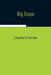 Big Stupe by Charles V. De Vet