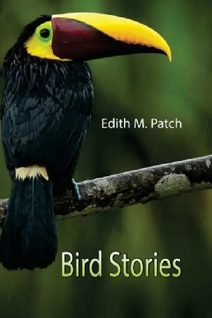 Bird Stories by Edith M. Patch